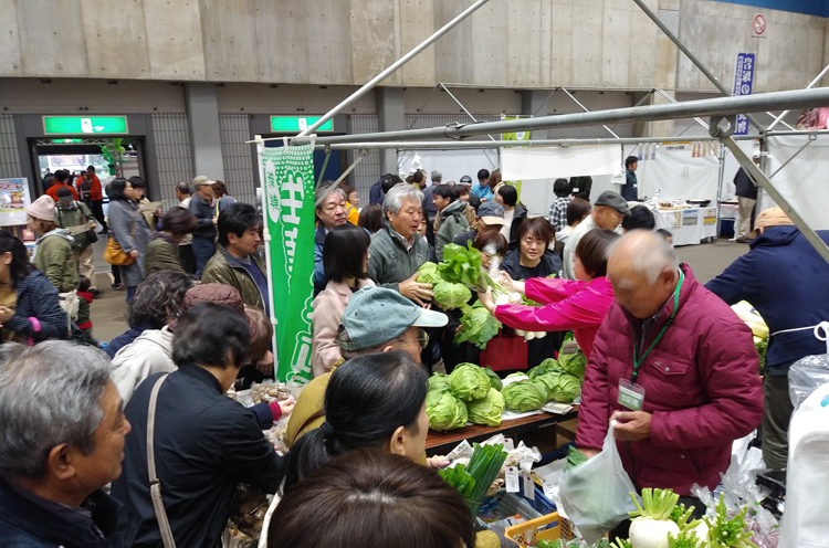 長岡で採れた新鮮野菜の販売