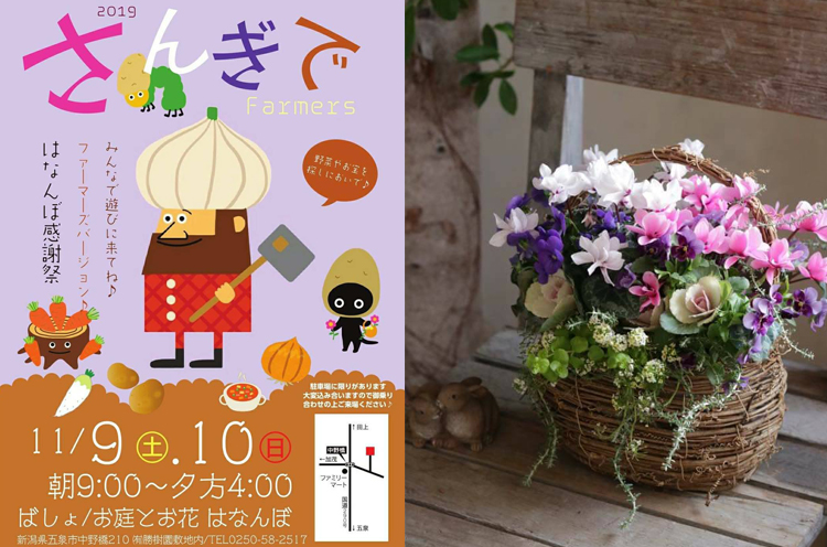 はなんぼ感謝祭 さんぎで 季節を彩る花や観葉植物を特価販売 花や庭に関する催しも満載 五泉市