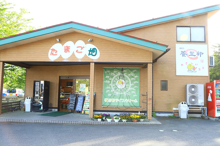 鎌田養鶏 刈羽店 たまご畑】自社工房で作る採れたて卵のプリンが絶品！｜刈羽村