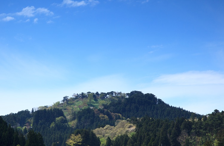 標高180メートルにある本丸跡からは、日本海や頸城平野、それを取り巻く山並みを一望できる