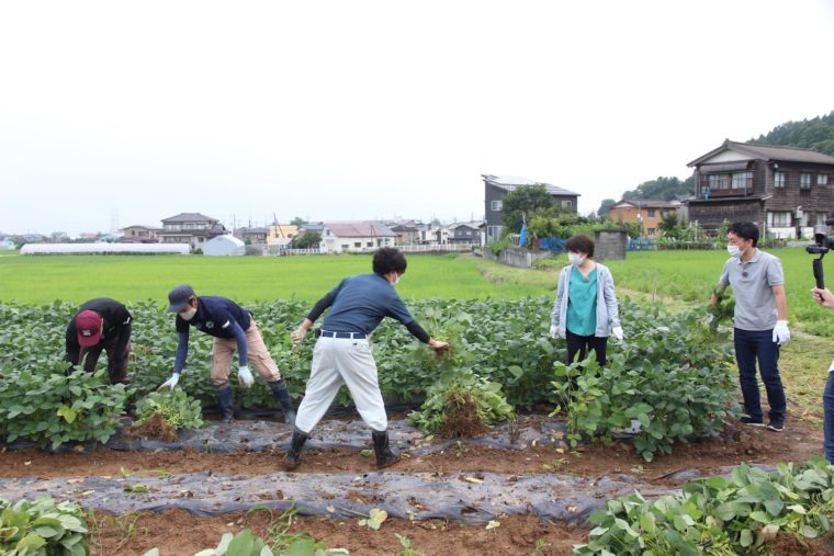 収穫体験をしている最中、皆さんの手際の良さに驚く村山先生と飛田アナ
