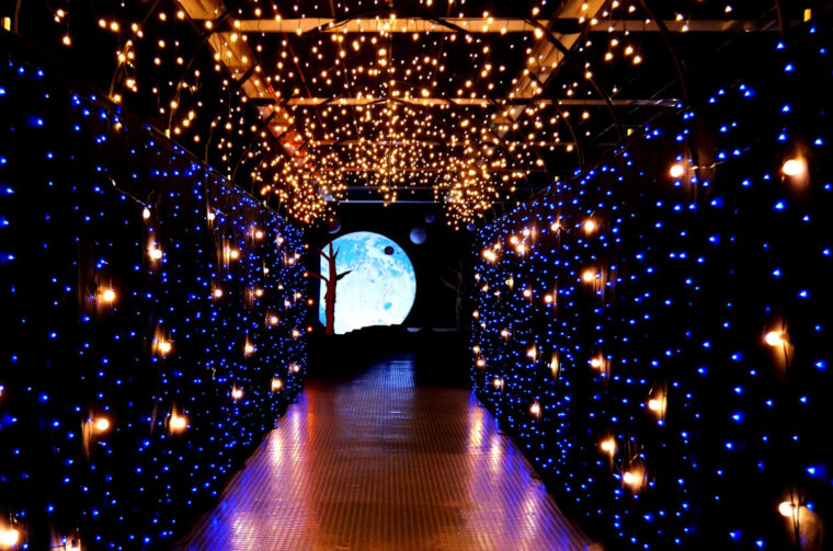 「星のトンネル」を抜けて宇宙の森へ行こう！！