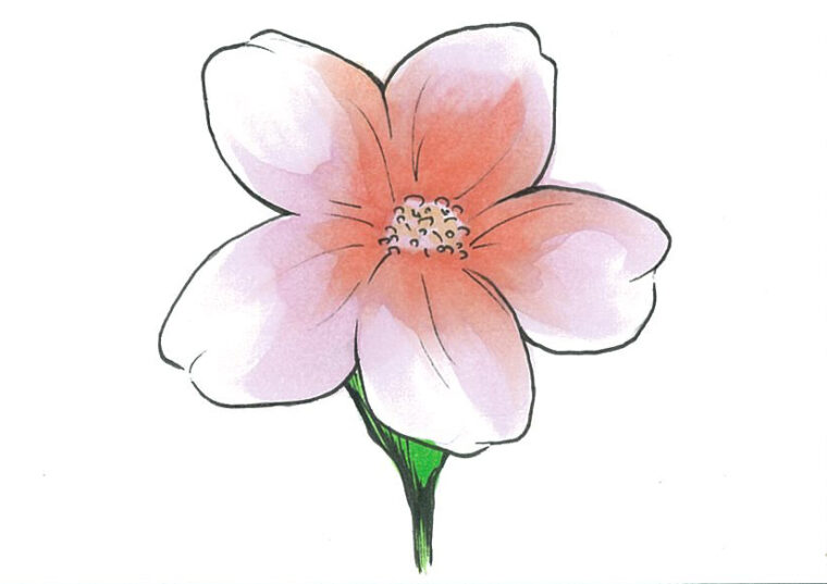 誰でも簡単に花のイラストと4コママンガが描けるようになる 日刊にいがたwebタウン情報 イベント名 春の新生活特別企画 桜 ｄメニューニュース Nttドコモ