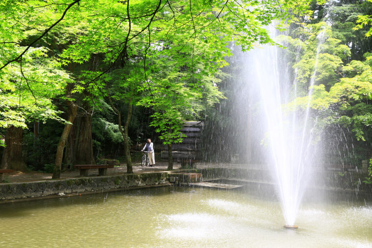 加茂山公園の噴水。池には亀がいます！