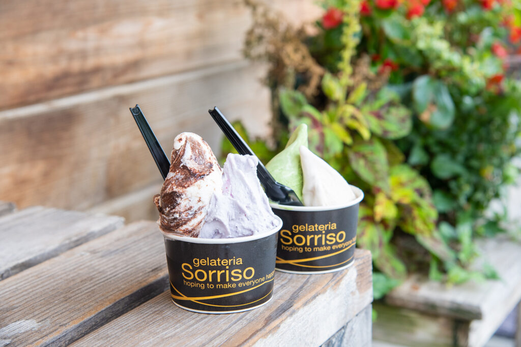 まとめ売り【ソボスライ ジェラード ソボスライ】 ジェラテリア Sorriso】素材をいかして作り上げるジェラートの人気店