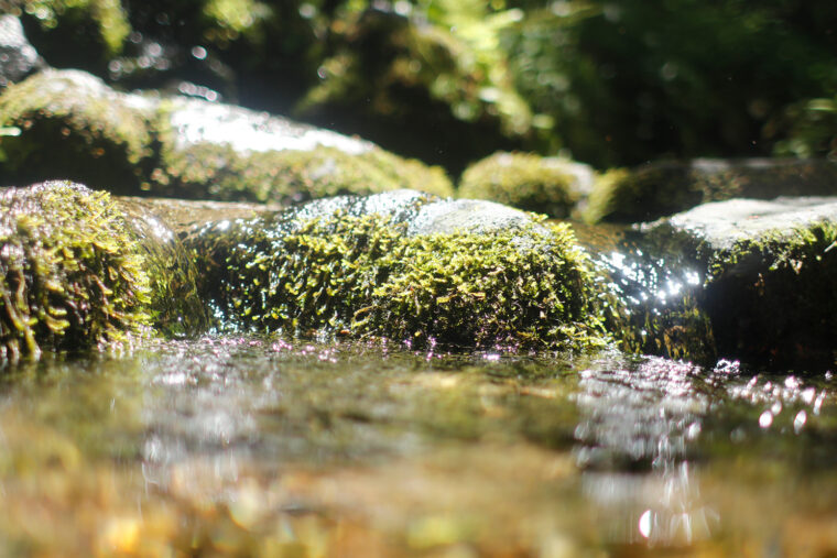 杜々の森は名水スポットとして有名です