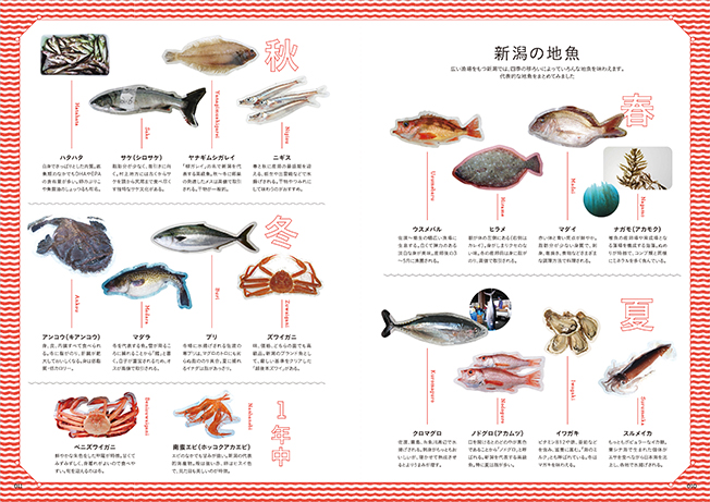 『新潟の地魚」　新潟で捕れる、代表的な季節の魚をご紹介します