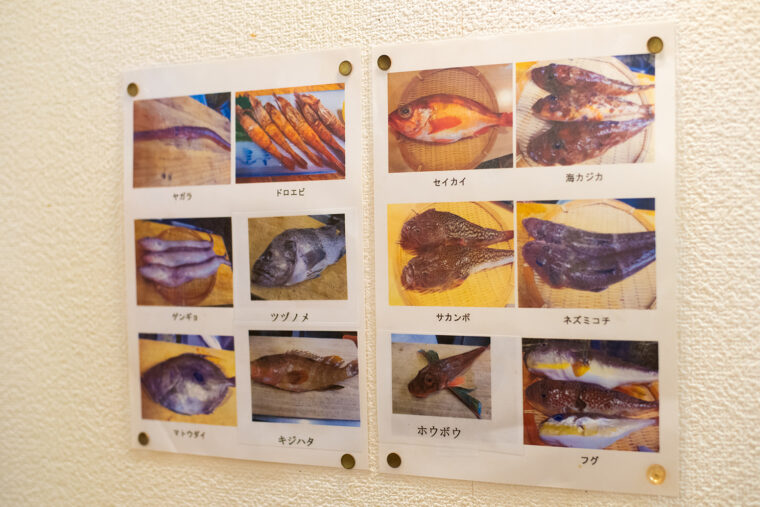 店内の壁には、お店で扱う珍しい魚が紹介されています