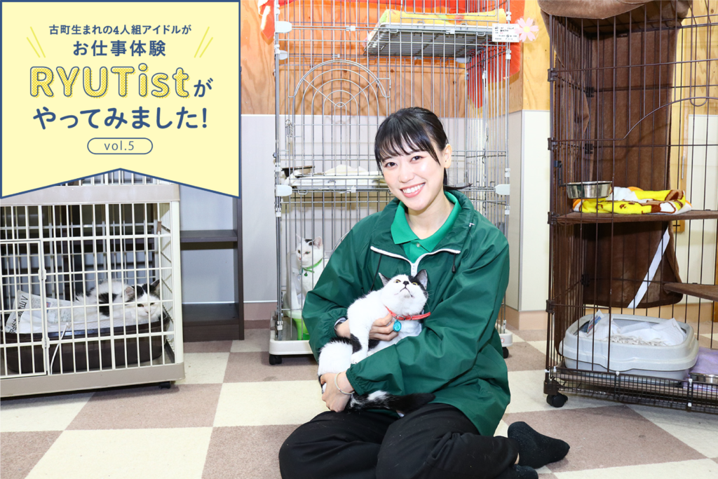 Ryutistがやってみました 新潟市動物愛護センター 佐藤乃々子さんが動物愛護センターのスタッフに挑戦