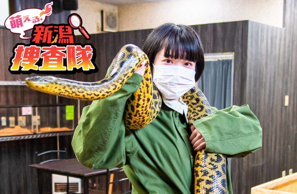 フォークアート アニマルレッグテーブル【monoroom町田】 都内最大級！南町田の商業施設に 猫カフェ『Moff animal cafeグラン