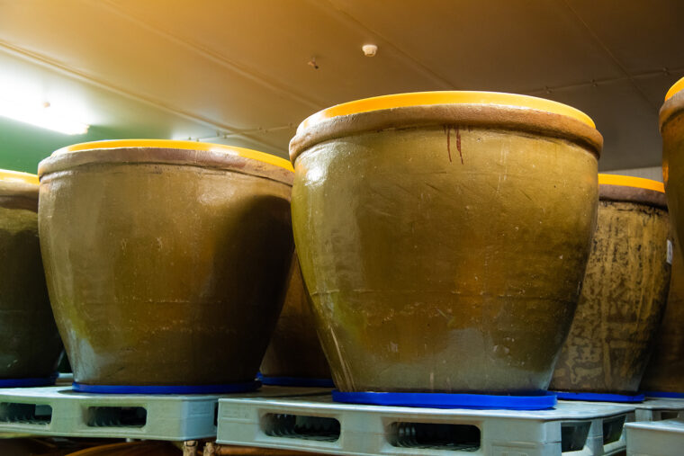 発酵・ 熟成には中国江蘇省製の陶器の甕を使用