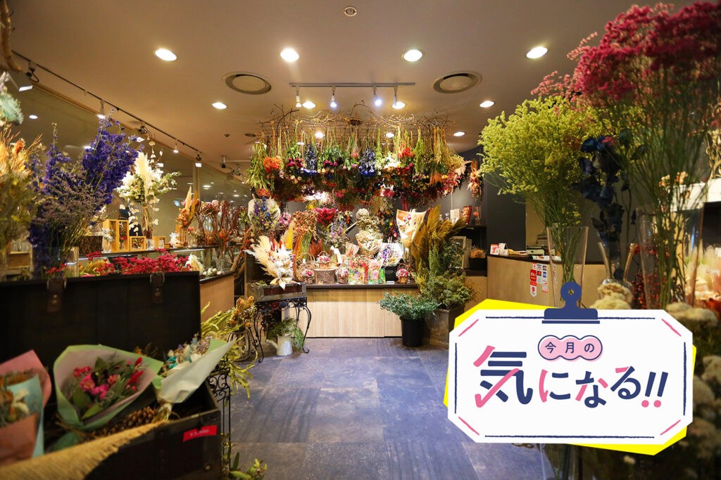 気になる ドライフラワーにフラワーケーキ 花 が気になる 気になる ドライフラワーにフラワーケーキ 花 が気になる