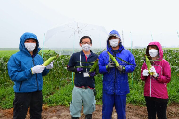 生産者の伊藤さん（右から二番目）と、JA越後さんとう 中部地区営農センターの近藤さん
