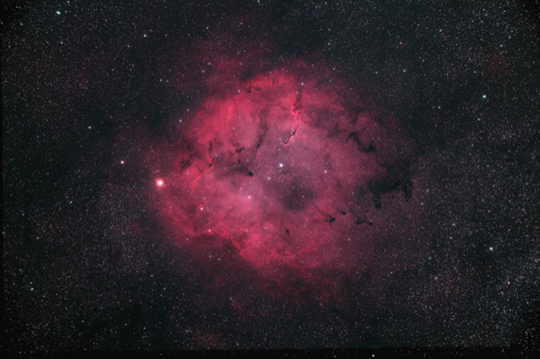 ケフェウス座の散光星雲 IC 1396（ガーネットスター付近）　撮影：つじさわまさみ