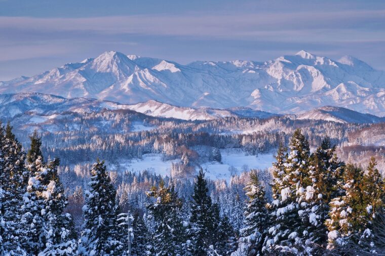 ＜撮影者コメント＞冬の朝、澄んだ空気の中で、遠くに雪の妙高連山が白銀に輝く、木々にも昨日の雪が白く残る。