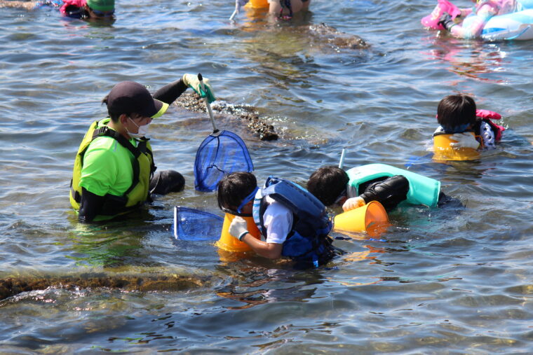 箱メガネで海の中をのぞいてみよう！