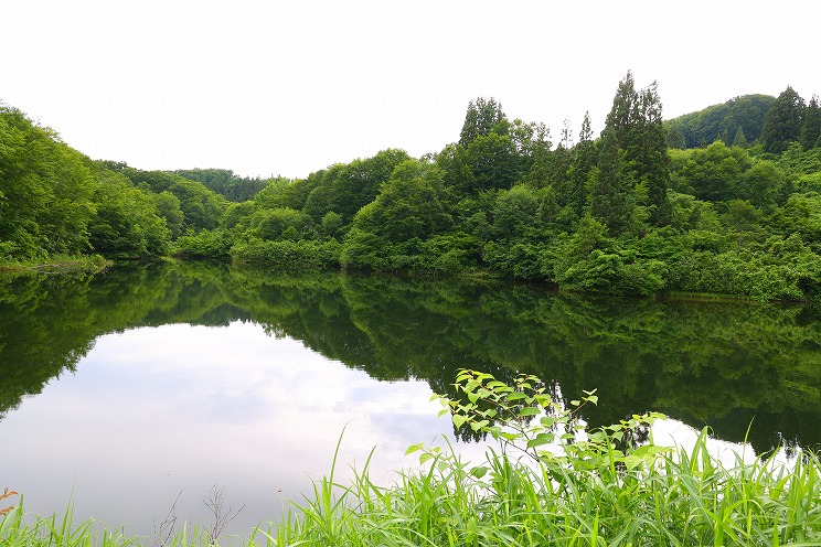 四季折々に表情を変える森が池に映る