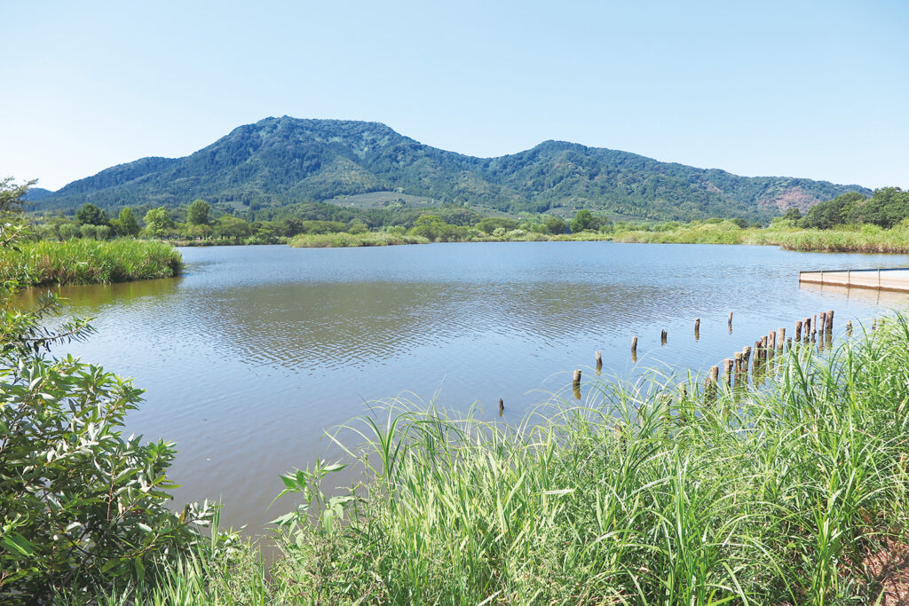 上堰潟公園】『わらアートまつり』開催中！ 家族みんなで楽しめる上堰