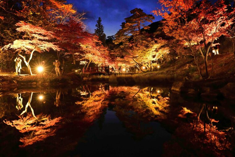 弥彦公園が2023年、日本夜景遺産に登録されました