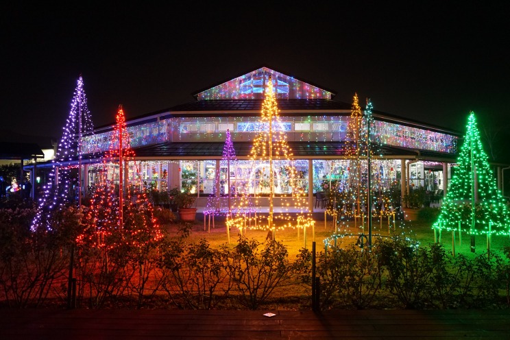 いくとぴあ食花 WINTER ILLUMINATION Light Forest～光と音の