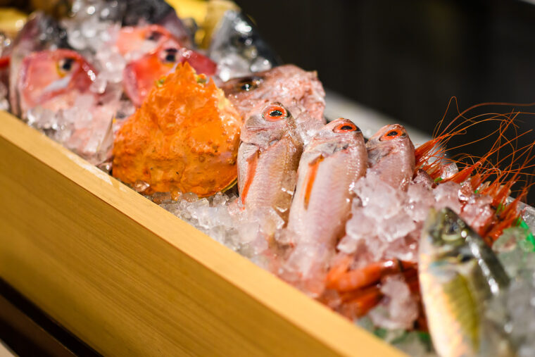 魚は毎日新潟市中央卸売市場に足を運んで仕入れた新鮮なものばかり