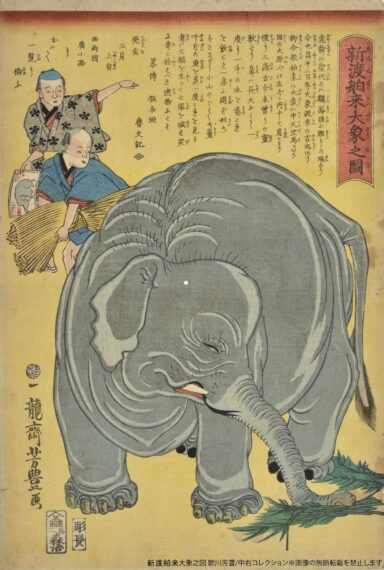 「新渡舶来大象之図」歌川芳豊／中右コレクション