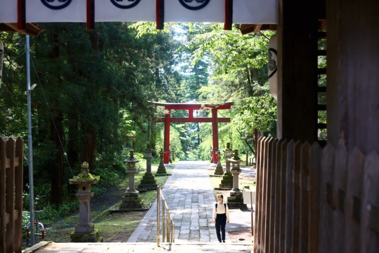 緑に囲まれた表参道には神秘的な雰囲気が漂います