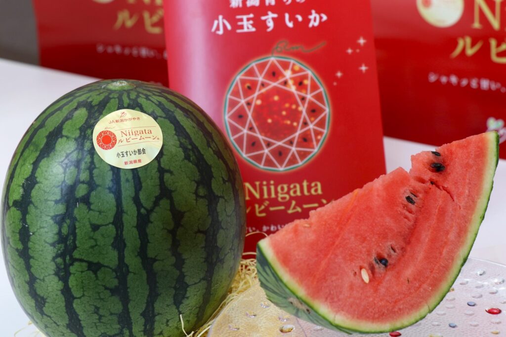 75e680a77ea04e0994f202aea4008e