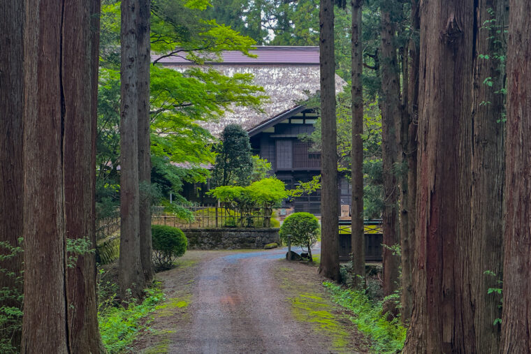 まっすぐ伸びる杉並木と林冨永邸の佇まいが美しい