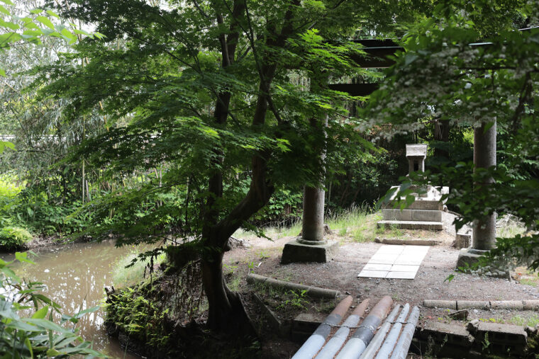 鳥居をくぐって右には溜め池に囲まれた摂社の厳島神社もある