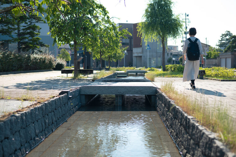 風に揺れるヤナギの葉と堀を流れる水が涼を感じさせる早川堀通り