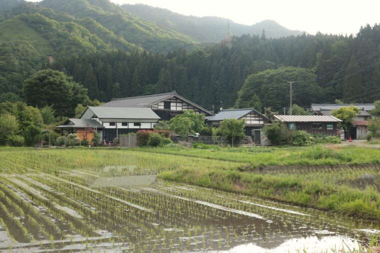 山あいの田んぼに囲まれたのどかな風景になじむ古民家カフェ