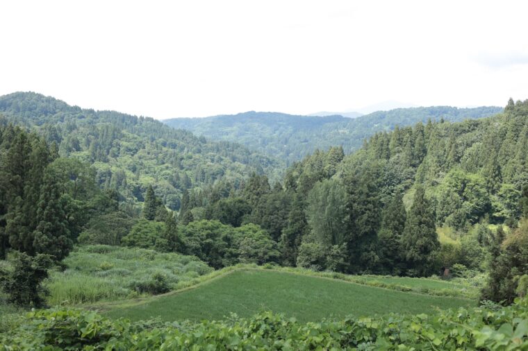 棚田の風景が美しい国道405号線を通り、上越市安塚区へ！