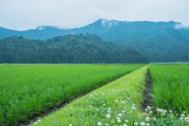 のどかな田園風景に癒やされよう