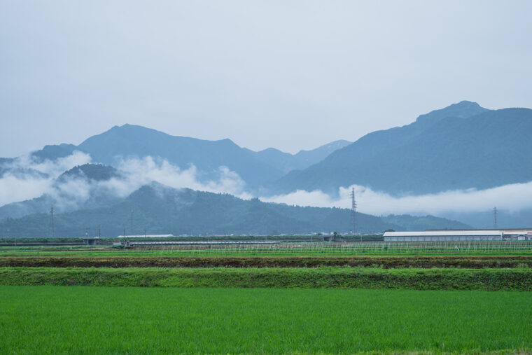 山々と田園風景のコラボが美しい