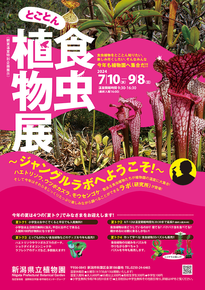 食虫植物　4種種7株 企画展示『とことん食虫植物展～ジャングルラボへようこそ！～』】食虫