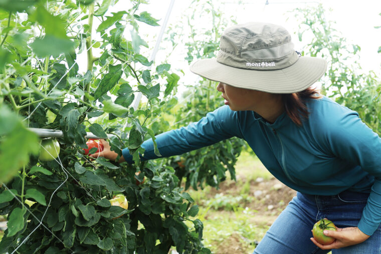 農業体験農園では、野菜を育てた経験のない人の利用も歓迎しています