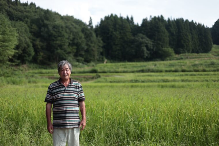 標高250メートルの棚田で湧水を使った自家栽培をしている