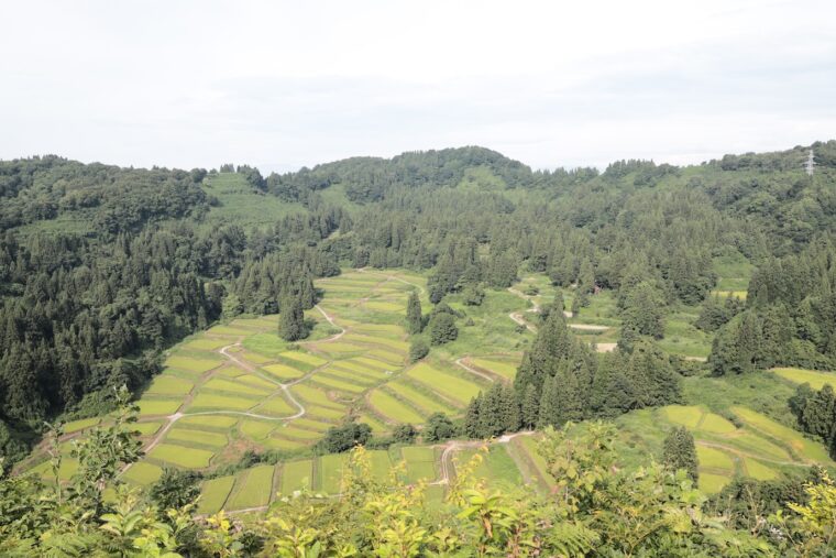 近くには棚田を見渡せる展望台があります