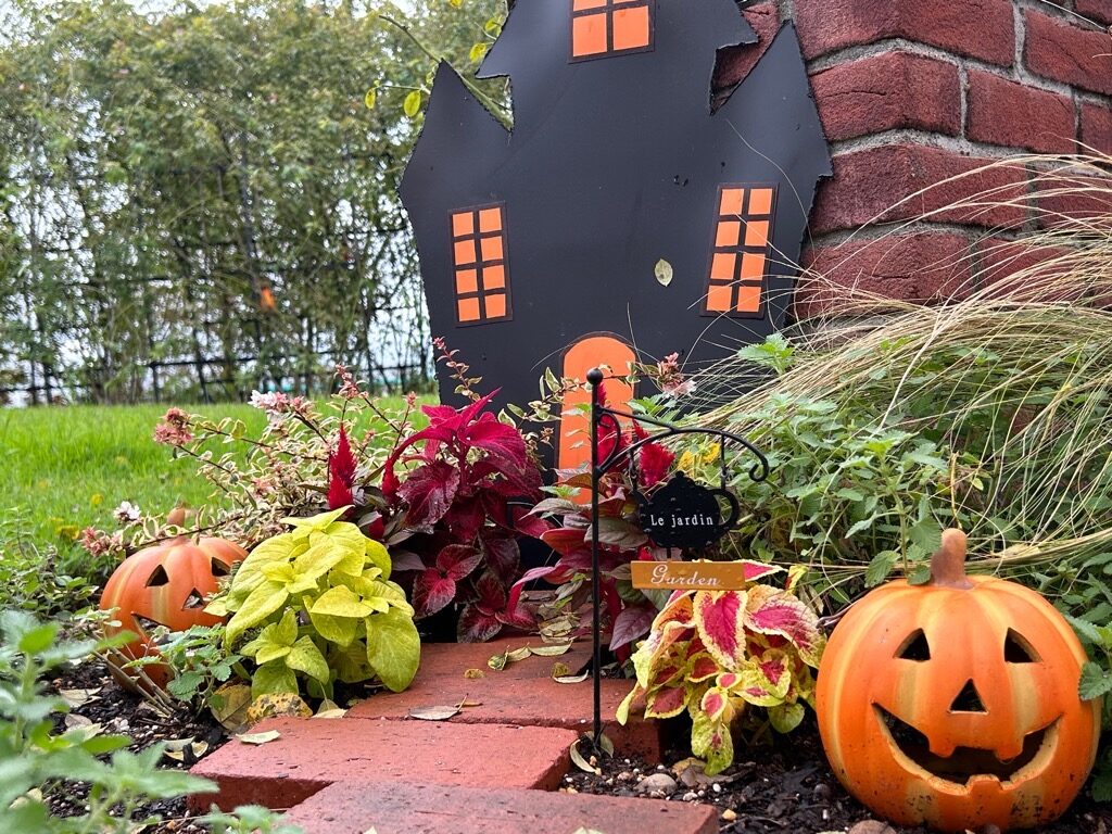 e3541261d8113c1b66f13776712a77