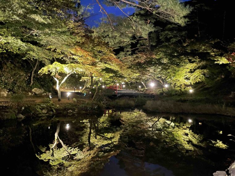 夜の弥彦公園は昼間とは違う幻想的な雰囲気に包まれる