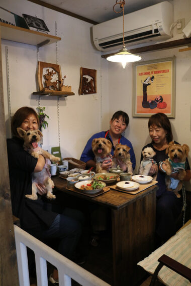 この日はノーフォークテリアと飼い主さんたちが会食中。写真の ゲート付きのテーブル席に加え、カウンター席もあります