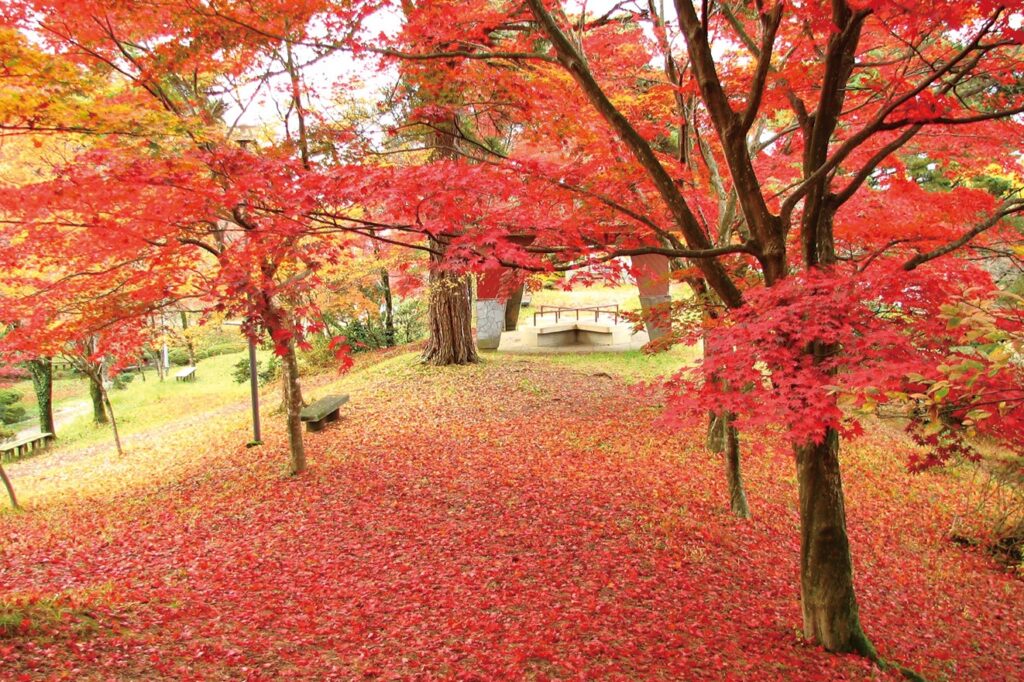 efeea9bd09bbf429328e4892b3afdc