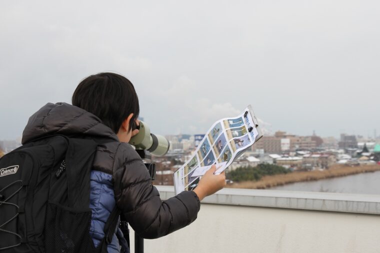 鳥屋野潟に棲む野鳥たちを観察してみよう！