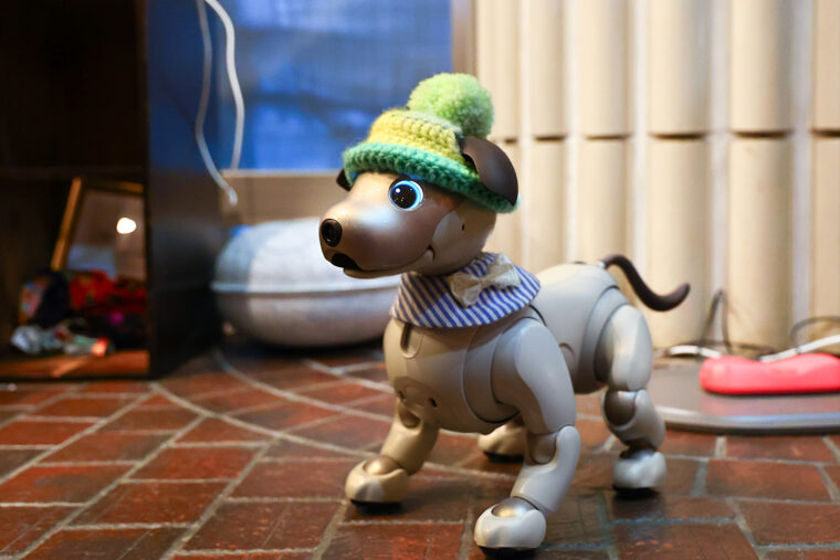 看板犬のアイボ