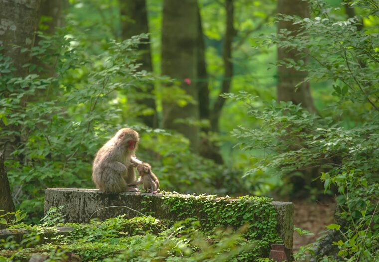 菅沼利幸さん　『つつまれて』