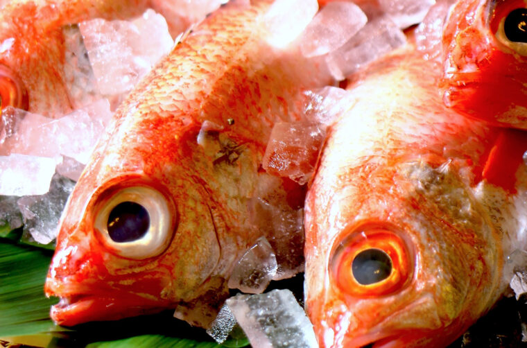 新潟の名物を味わえる