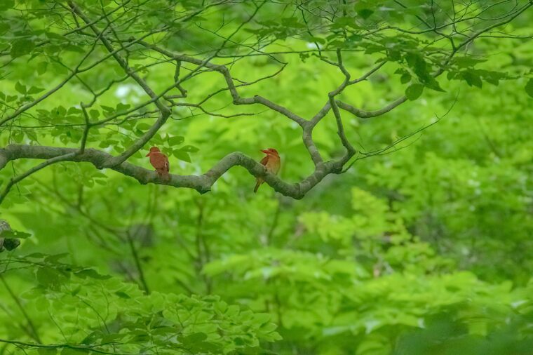 菅沼利幸さん　『出会い』