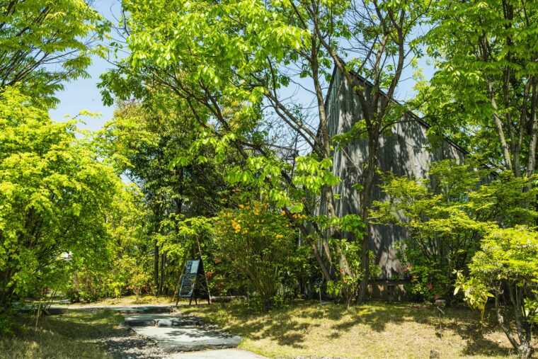 うっそうと茂る木々が建物を覆い尽くす
