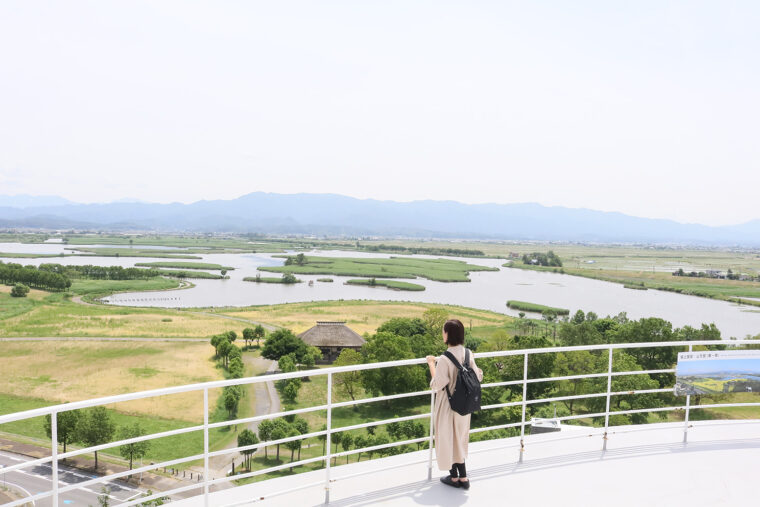 屋上から福島潟とその周辺に広がる田園風景を一望できる